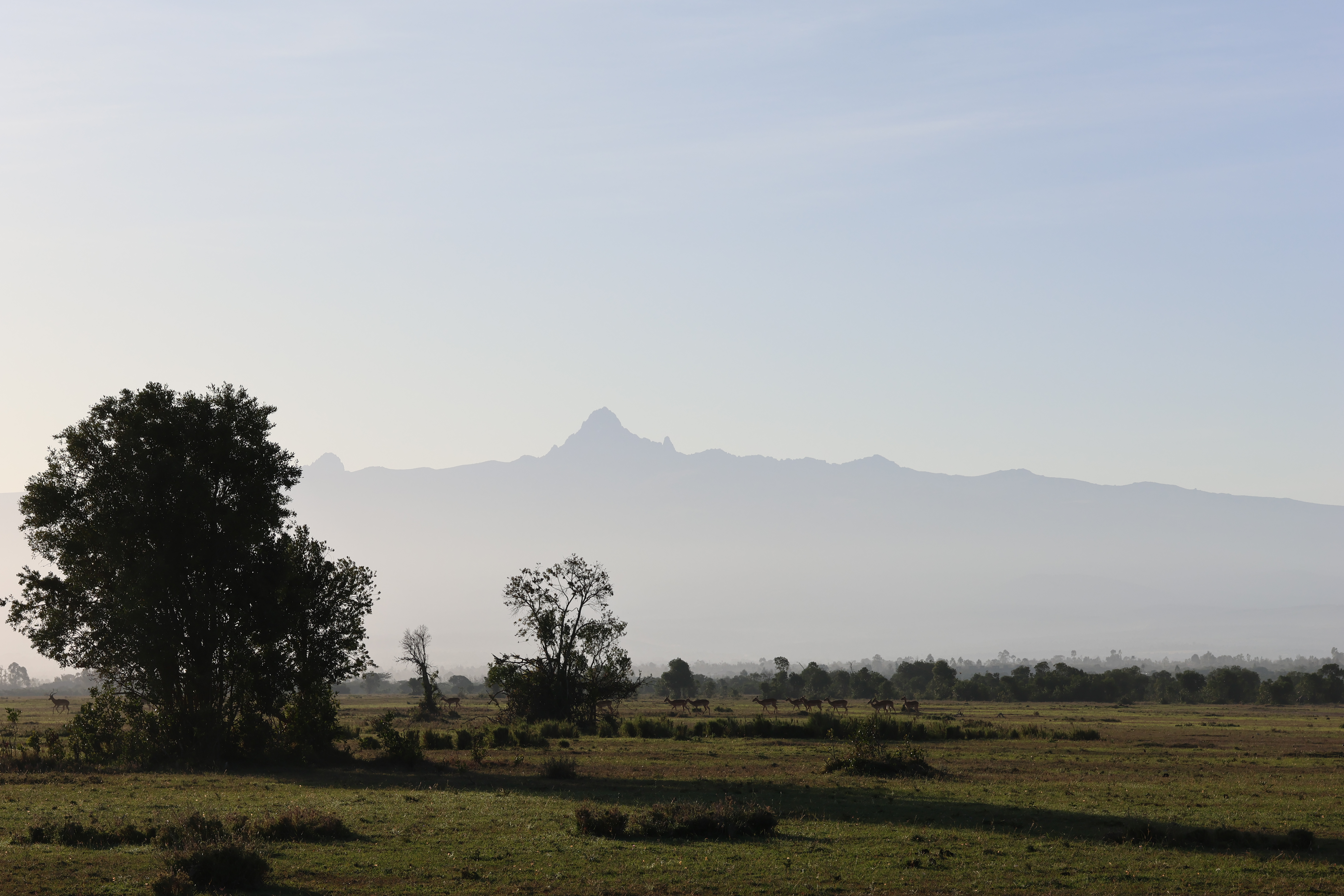 Day 1 - Drive to Amboseli Nationa Park