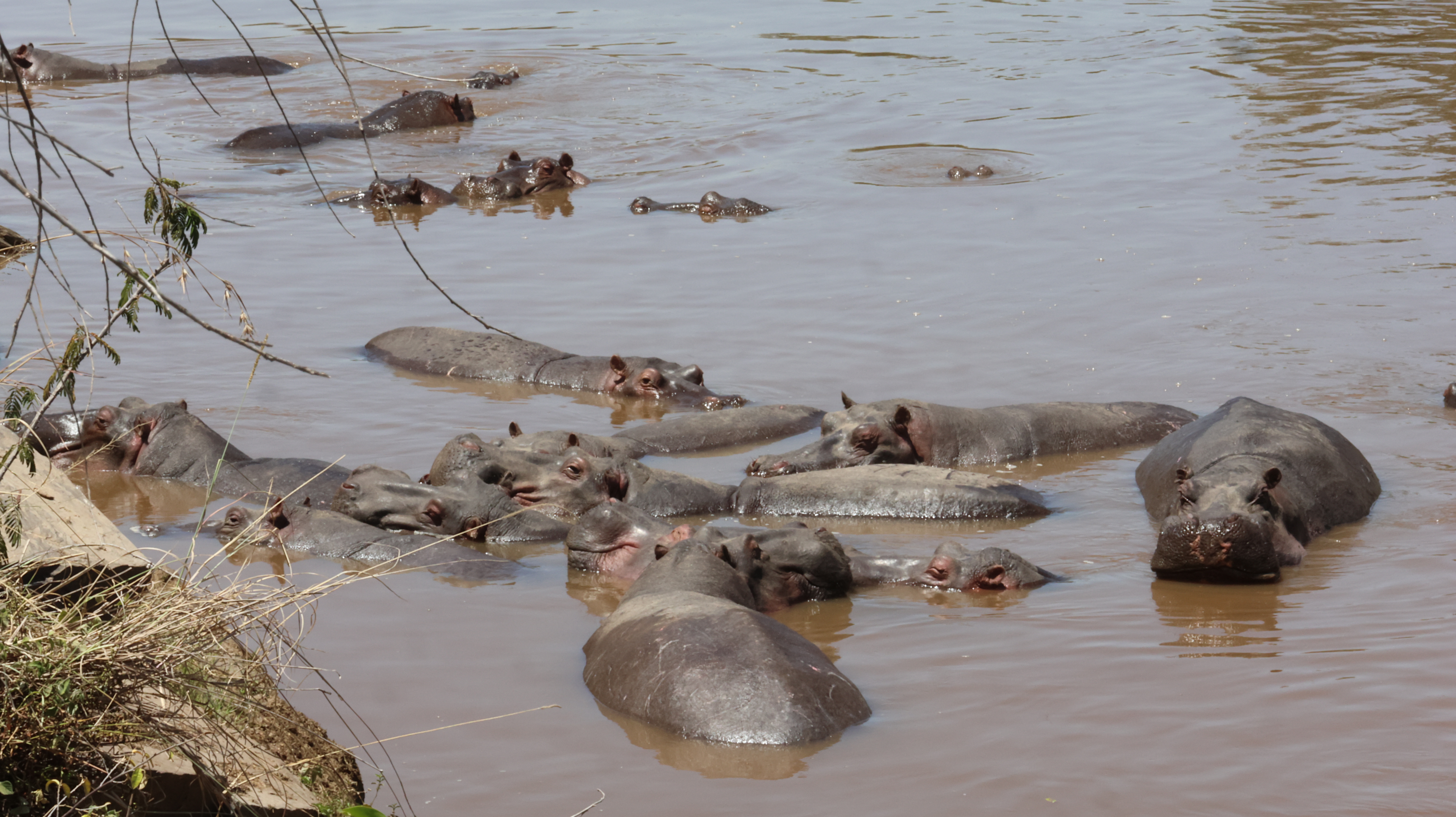 Day 3 - Drive to Lake Naivasha