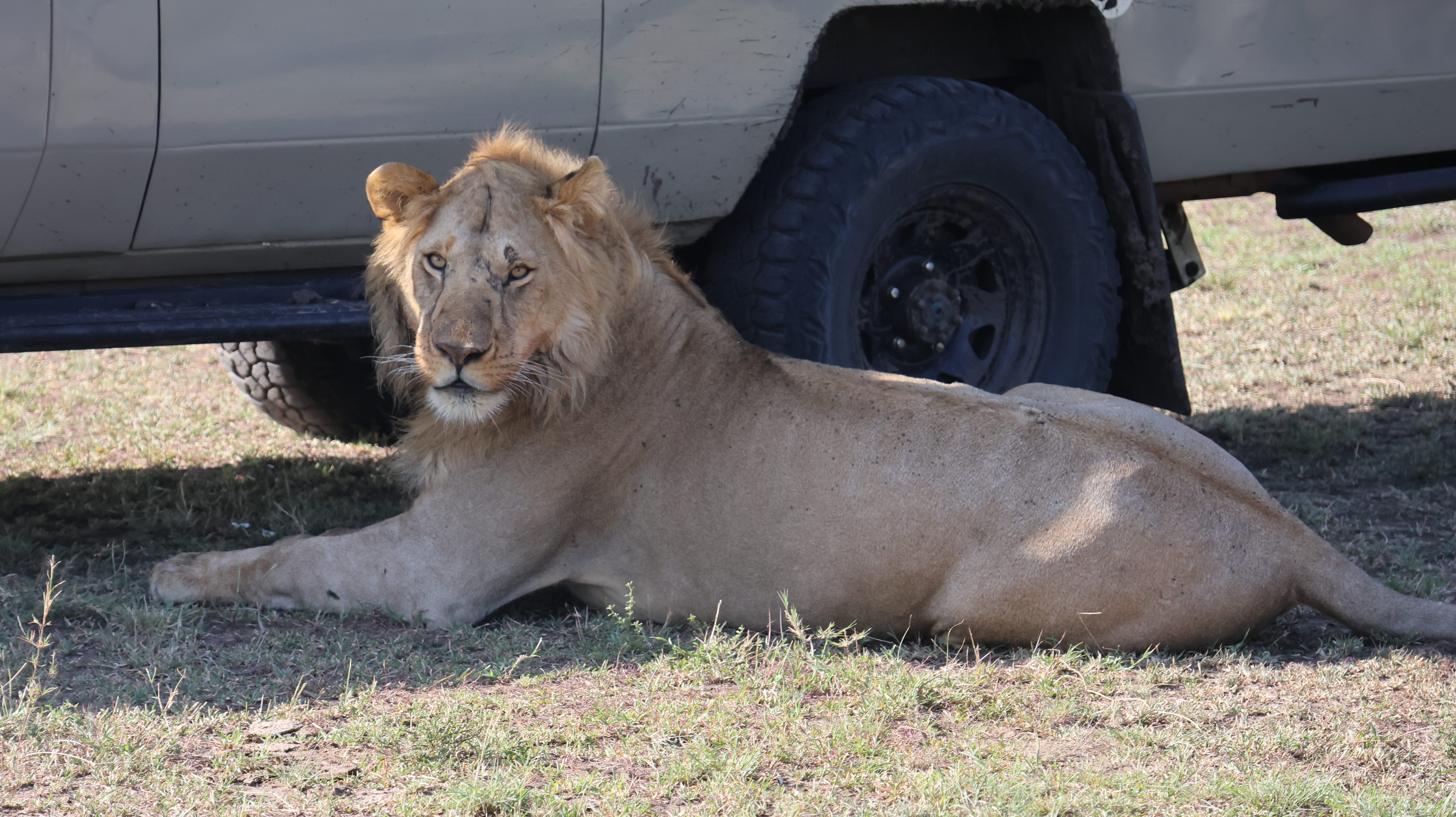 Day 4 - Drive to Lake Nakuru National Park