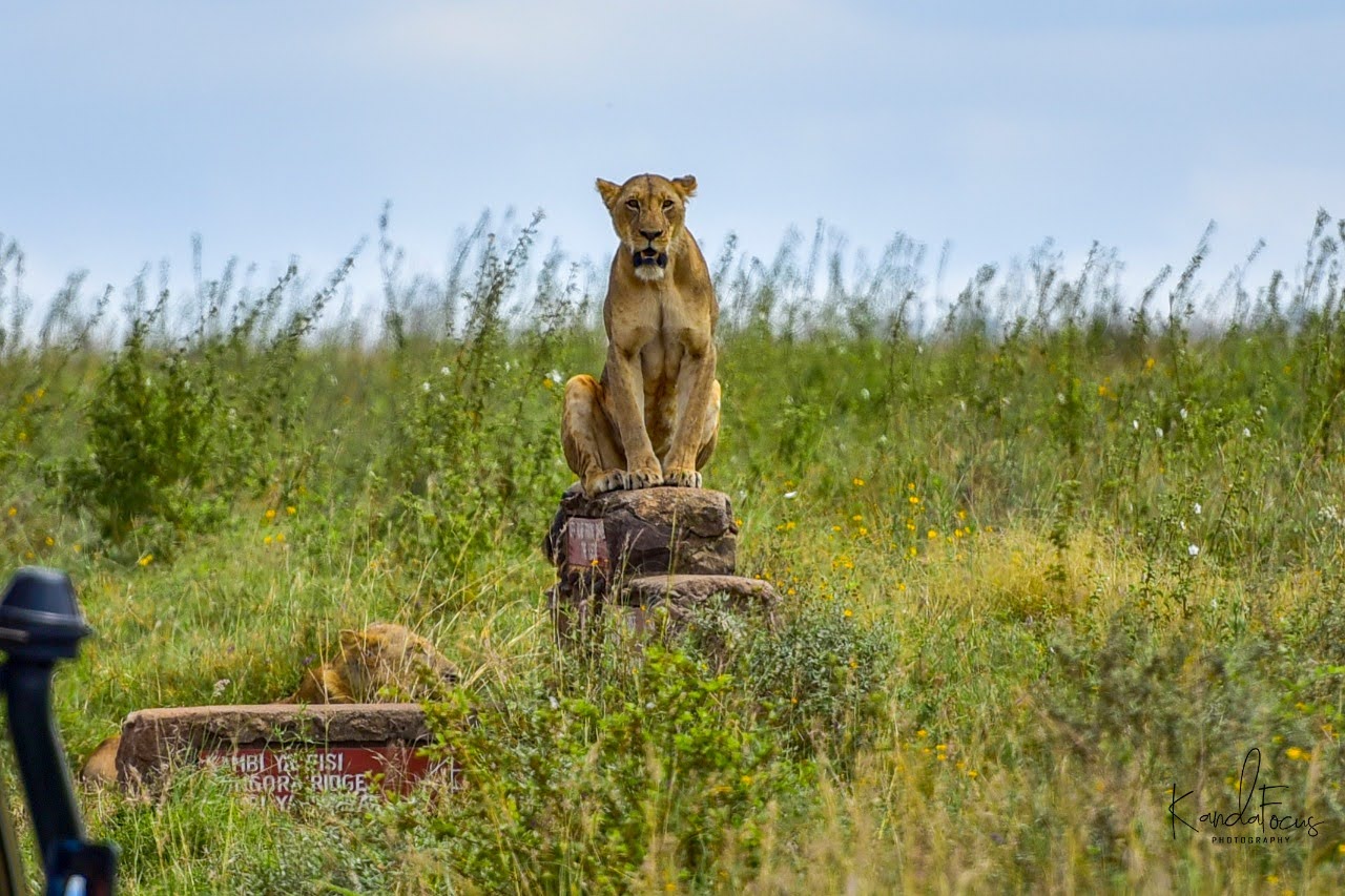 Day 5 - Drive to Masai Mara National Reserve