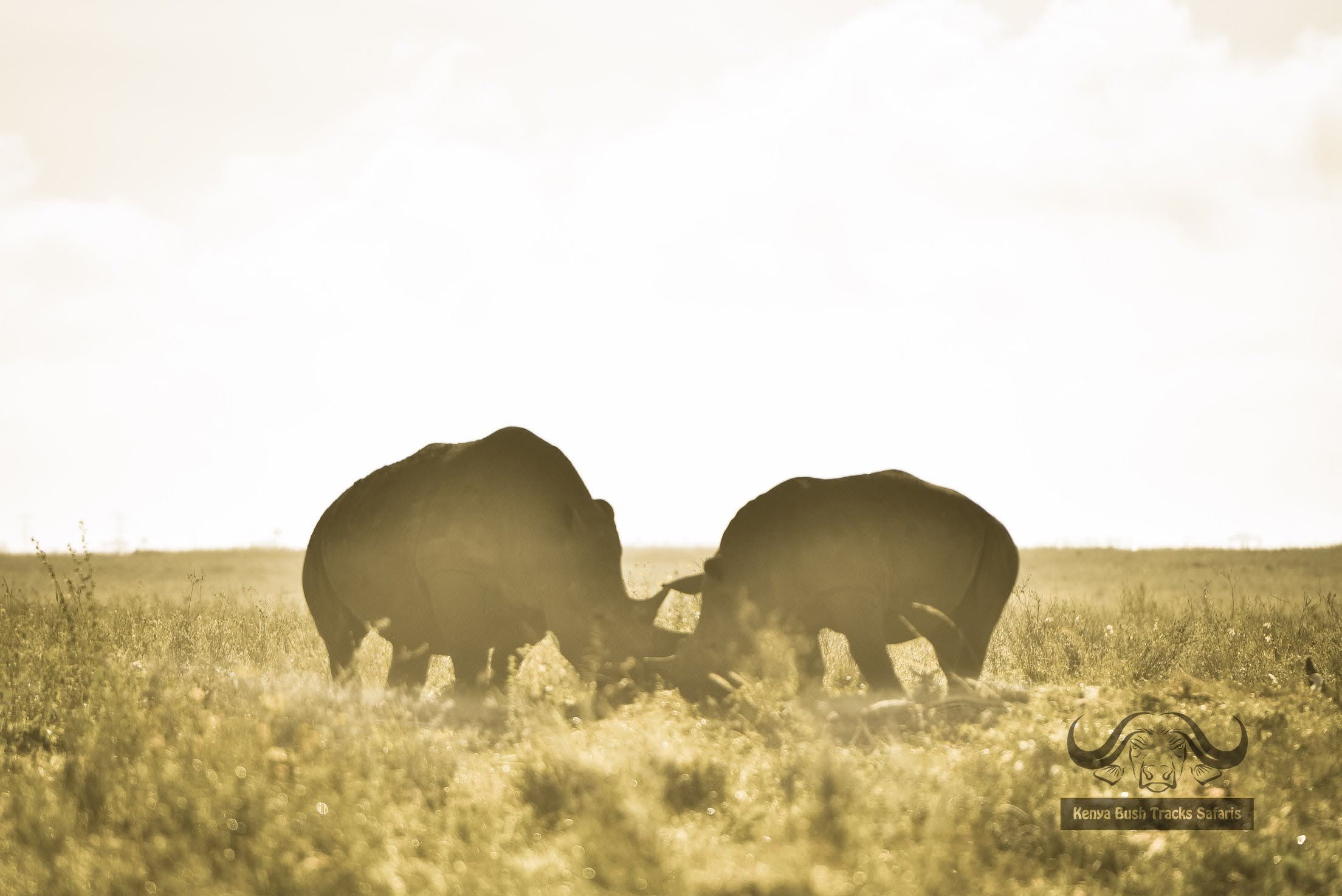 10 Days Kenya Wildlife & Scenic Safari