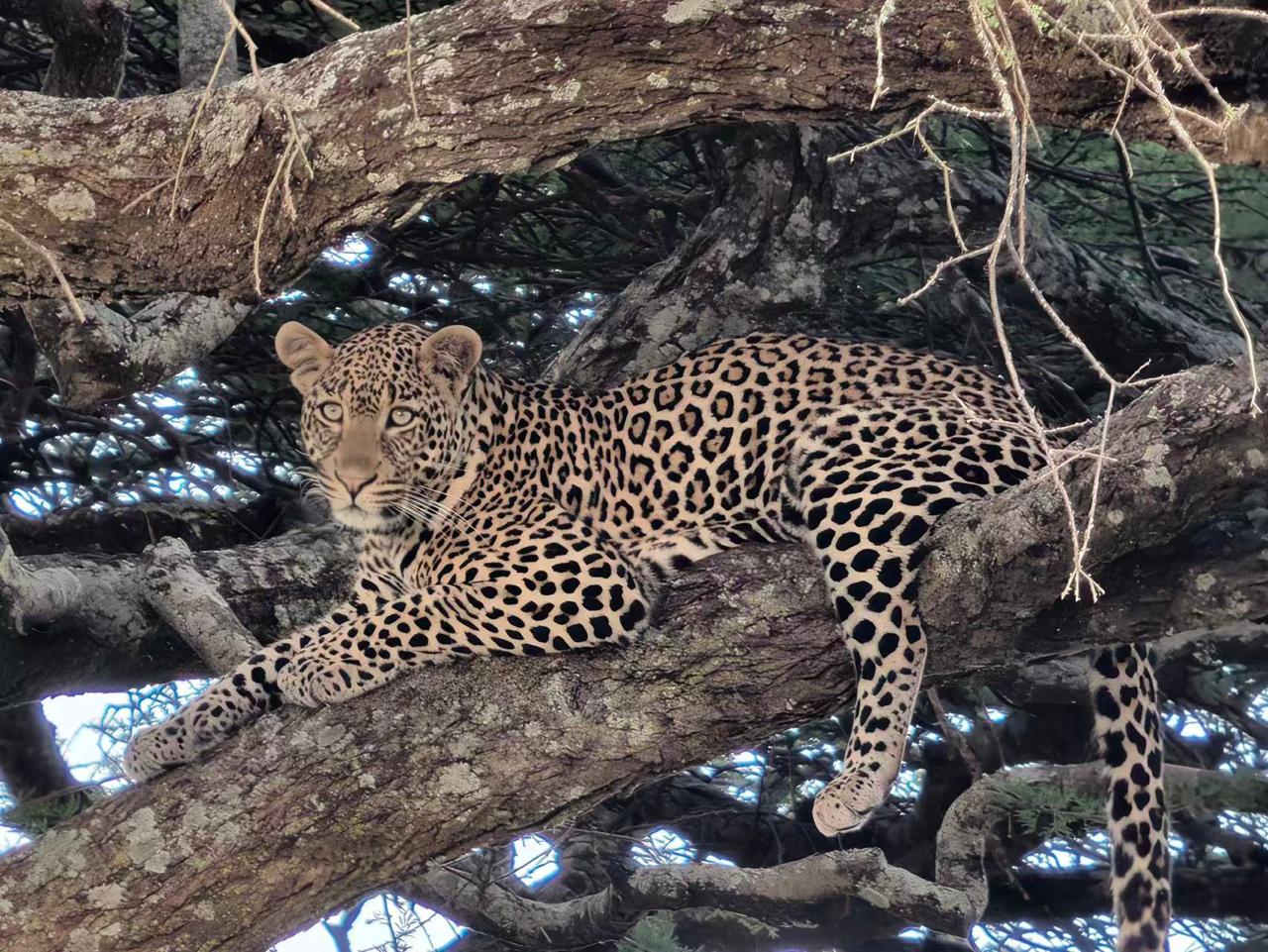 8 Days Kenya Classic Safari